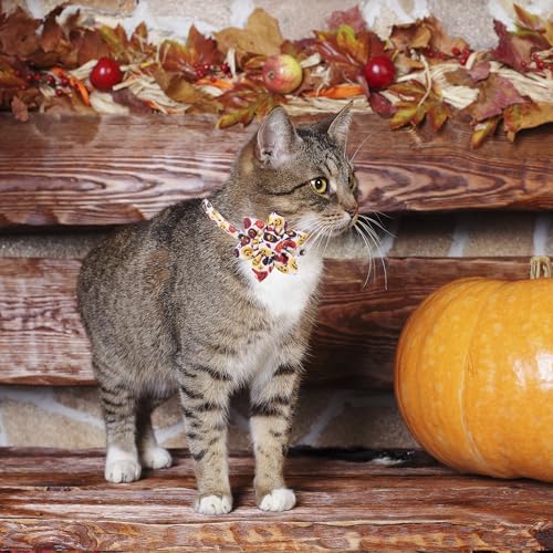 ADOGGYGO Halloween Cat Collar with Floral, 2 Pack Halloween Kitten Flower Collar, Pink Ghost Pumpkin Collars for Cats Kittens - color: Halloween