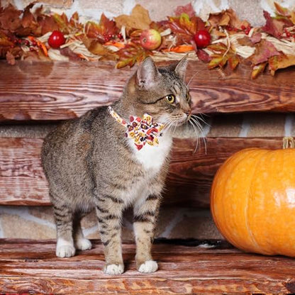 ADOGGYGO Halloween Cat Collar with Floral, 2 Pack Halloween Kitten Flower Collar, Pink Ghost Pumpkin Collars for Cats Kittens - color: Halloween