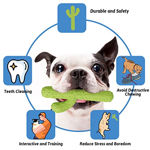 MewaJump Dog Chew Toys, Durable Rubber Dog Toys for Aggressive Chewers, Cactus Tough Toys for Training and Cleaning Teeth, Interactive Dog Toys for Medium/Large Dog - color: Green Cactus