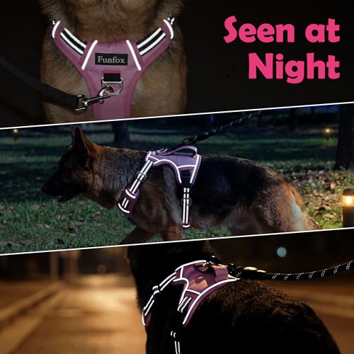 Funfox Dog Harness No Pull, Adjustable Pet Vest Harness, Super Soft Material with Vertical Handle Easy Control, Reflective Night Walking, 2 Leash Clips for Small Sized Dogs, Pink, S - color: Pink, size: Small