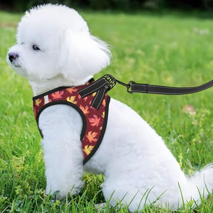 Maple Leaf Pattern Pet Harness Escape Proof Dog Harness Adjustable Mesh Padded Reflective Dog Vest Harness and Leash Set Small - color: Style 6, size: Small