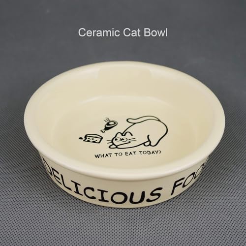 TTcat Ceramic Cat Feeder, 5.1in Shallow Design Food Bowl, Small Pet Dishes for Cats, Kitten, Dishwasher Safe - color: Cartoon Bowl