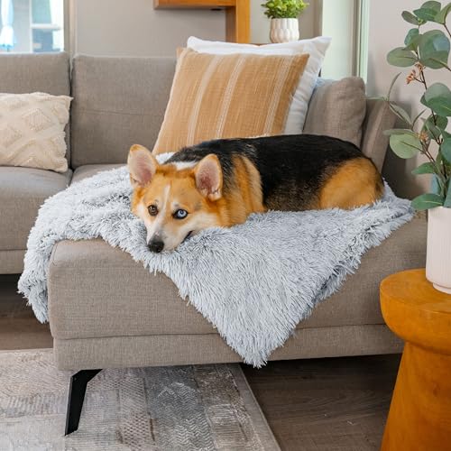 Best Friends by Sheri Calming Shag Dog Blanket – Ultra Soft Faux Fur Pet Throw, Anxiety-Relief, Lightweight Warm Bed Cover for Dogs and Cats, Machine Washable, Frost Gray, 30" x 40" - color: Frost, size: 30" x 40"