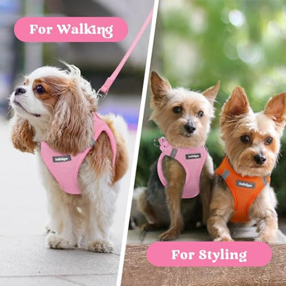 rabbitgoo Small Dog Harness, Step-in Soft Mesh Puppy Vest with Safety Buckle, Breathable Reflective Pet Harness for Small Sized Dogs, Light Pink S - color: Light Pink, size: S(chest:15.1"-16.5")