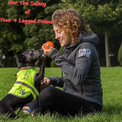 Safety Reflective Vest for Dogs - High Visibility for Outdoor Activity Day and Night, Protect Your Pet from Cars & Hunting Accidents - size: XL
