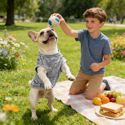 PETCARE Sun Protection Dog Shirts for Small Dogs Quick Dry Soft Stretchy Dog T-Shirts with Reflective Label Tank Top Sleeveless Vest Pet Clothes, Athletic Fabric, Grey, S (Chest 15" Length 11.8") - color: Grey, size: S ( Suggest 5-8 lbs)