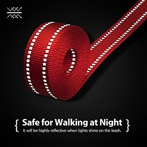 PHOEPET 5 Feet Dog Leash - Dual-Side Reflective - Soft Padded Handle - Fit for Walking, Training or Exploring Hiking, Camping (Red + Black Base) - color: Red + Black Base