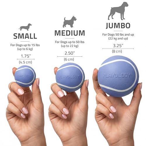 Playology Dog Toys | Squeaky Chew Ball - Bouncy Durable Floating Fetch Ball for Dogs | Jumbo Blueberry Scented Toy - Easy to Clean and Made from Non Toxic Materials - size: Jumbo, style: Blueberry