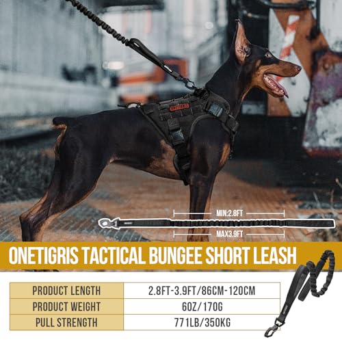 Tactical Dog Training Bungee Leash with 2 Control Handle Quick Release Nylon Leads Rope (Black) - color: Black