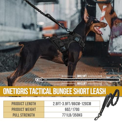 Tactical Dog Training Bungee Leash with 2 Control Handle Quick Release Nylon Leads Rope (Black) - color: Black