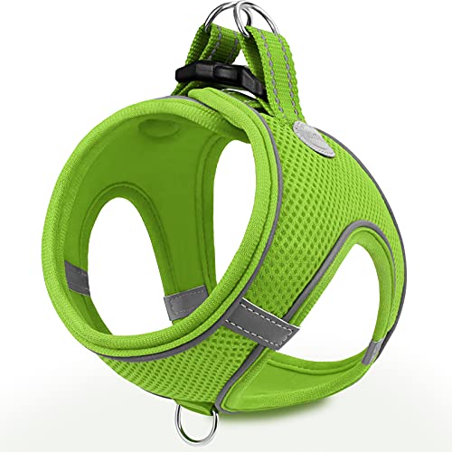 Joytale Small Dog Harness, Breathable Mesh Step-in Vest, Reflective Soft Padded Harnesses for Cats and Puppies Dogs, Green, XXXS - color: Green, size: XXXS--Chest: 10.5-12''
