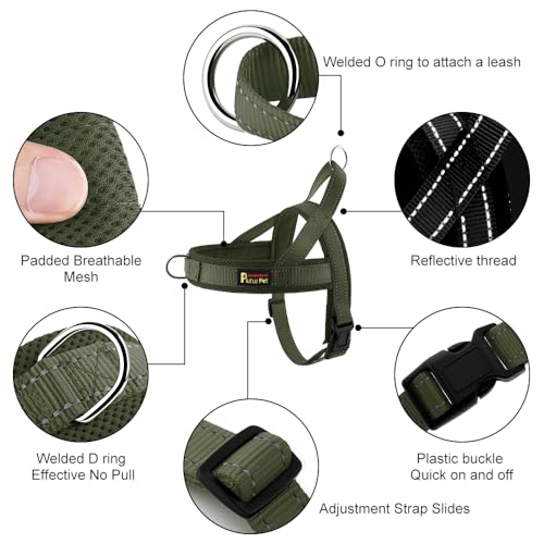 Plutus Pet No Pull Dog Harness with Breathable Mesh Padded, Adjustable Reflective Escape Proof Dog Harness, Quick Fit Dog Vest Harness for Small Medium Large Dogs(XXS, Ranger Green) - color: Ranger Green, size: XXS: chest 11.8"-15"
