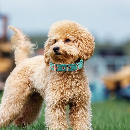 Neoprene Padded Dog Collar, Nylon Collar for Small to Large Dogs, Heavy Duty with Metal Buckle, Reflective(Small, Teal) - color: Teal, size: Small(Pack of 1)