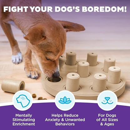 Outward Hound by Nina Ottosson Dog Smart Treat Puzzle Enrichment Toy, Level 1 Beginner, Tan, Composite - color: Dog Smart Composite (Tan)