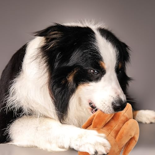 Puppy Chew Toys, Squeaky Cute Durable Fabric Dog Toys for Small Dogs,Indestructible Plush Interactive Interactive Dog Toy for Anxiety Relief Indoor Home Playing Puppy Small Medium Breeds Teething