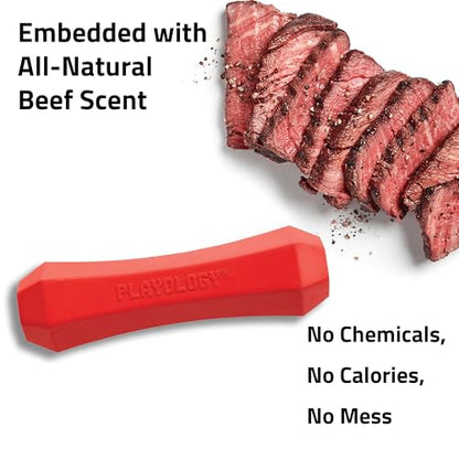 Playology Dog Toys | Squeaky Chew Stick for Dogs, Value 2-Pack | Beef Scented Medium Fetch Toy | Squeaky Dog Chew Toy - size: Medium (VALUE 2-Pack), style: Beef