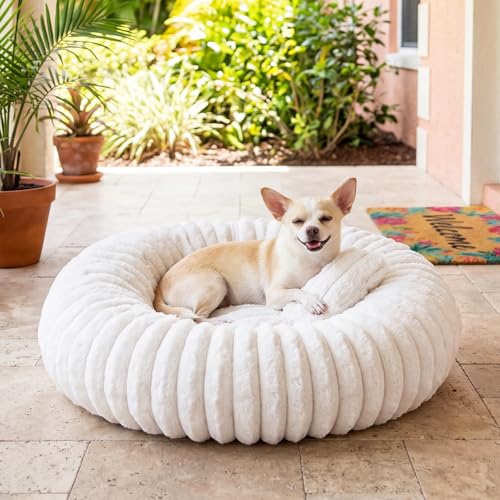 Self Warming Cat Bed, Donut Pet Bed for Indoor Cats and Small Dogs, Self-Heating Dog Bed with Non-Slip Bottom, Winter Comfort Dog Beds for Puppies, Washable & Portable Egg Tart Shape (S) - size: 23*23*8 inches