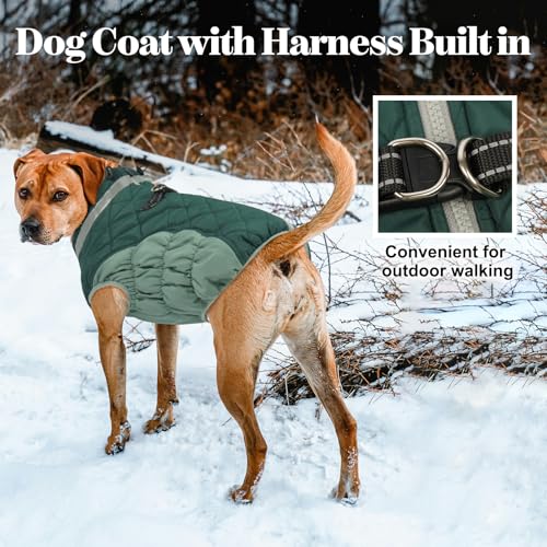 Lelepet Warm Dog Winter Coat Dog Coats for Small Dogs Waterproof Dogs Jacket with Harness Built in Reflective Cold Weather Coats Windproof Zip-Up Winter Fleece Vest Snowsuit Chihuahua Teal Green - color: Teal Green, size: X-Small
