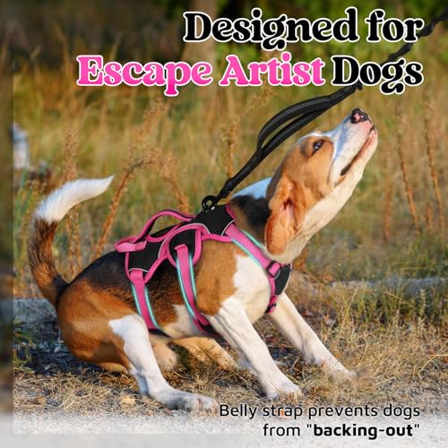 rabbitgoo Escape Proof Dog Harness Small Sized Dog, Soft Padded Full Body Pet Harness, Reflective Adjustable Vest with Lift Handle and Leash Clip for Walking Hiking Training, Pink & Black, S - color: Pink & Black, size: Small (Pack of 1)