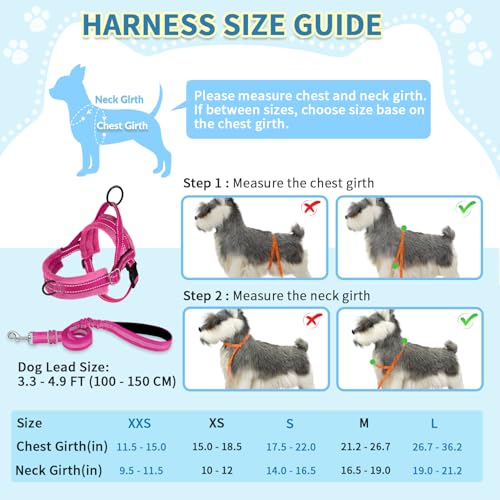 SlowTon No Pull Small Dog Harness and Leash Set, Puppy Soft Vest Harness Neck & Chest Adjustable, Reflective Lightweight Harness & Anti-Twist Pet Lead Combo for Small Medium Dogs (Fuchsia, XS) - color: A-Fuchsia - With Front Clip, size: X-Small