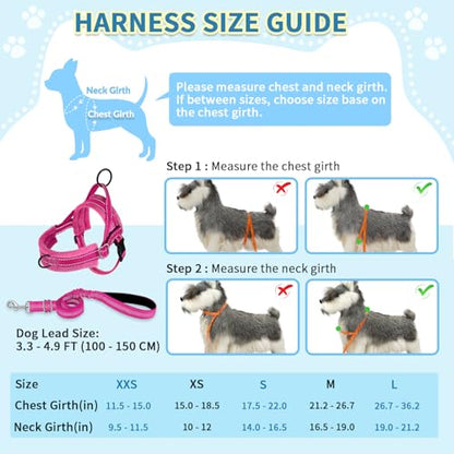SlowTon No Pull Small Dog Harness and Leash Set, Puppy Soft Vest Harness Neck & Chest Adjustable, Reflective Lightweight Harness & Anti-Twist Pet Lead Combo for Small Medium Dogs (Fuchsia, XS) - color: A-Fuchsia - With Front Clip, size: X-Small