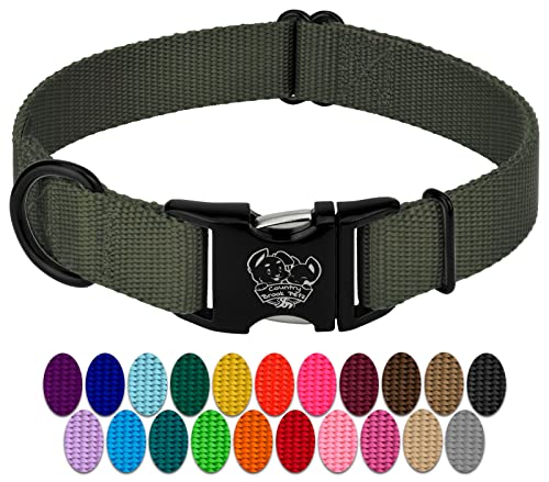 Country Brook Petz - Premium Nylon Dog Collar with Metal Buckle for Small Medium Large Breeds - 10+ Cool Colors (Small, 3/4 Inch, Dark Olive Drab) - color: Dark Olive Drab, size: Small (Pack of 1)