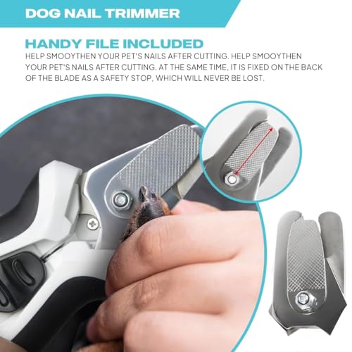 TwoEar Dog Nail Clippers with Light, Dog Nail Trimmers with Quick Sensor & Safety Guard, Razor Sharp Blade, LED Pet Nail Clippers/Dog Toenail Clippers for Medium Large Dogs, Black