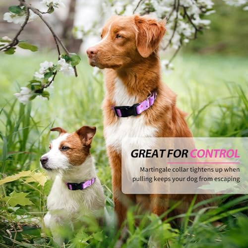 Hikiko Cute Pink Martingale Collar with Heart Design Soft Nylon Quick Release Buckle Dog Collars for Medium Dogs (Fresh Love,Medium) - color: Fresh Love, size: Medium