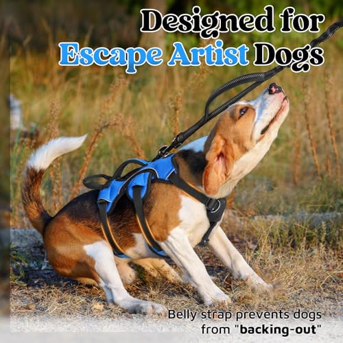 rabbitgoo Escape Proof Dog Harness, Soft Padded Full Body Pet Harness, Reflective Adjustable No Pull Vest with Lift Handle and Leash Clip for Large Dogs Walking Hiking Training, S, Blue - color: Blue, size: Small (Pack of 1)