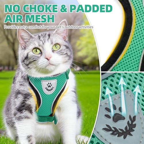 PUPTECK Cat Harness and Leash Set Escape Proof Reflective Cat Walking Harness Adjustable Soft Breathable Mesh Vest for Small Pets, Dark Green, S - color: Dark Green, size: S (NECK 9.5"-11", CHEST 13"-16")