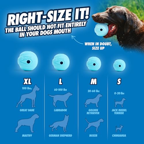 Chuckit! The Whistler Ball Dog Toy, Medium (2.5 Inch Diameter) for Dogs 20-60 lbs, Pack of 2, Multicolor - size: 2 Count (Pack of 1), style: Pack of 2