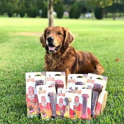 Nylabone Textured Bone Power Chew Toy for Dogs, Durable & Tough Dog Toys for Aggressive Chewers, Beef Jerky Flavor, Medium Dogs - Up to 35 lbs, 1 Count - size: Medium