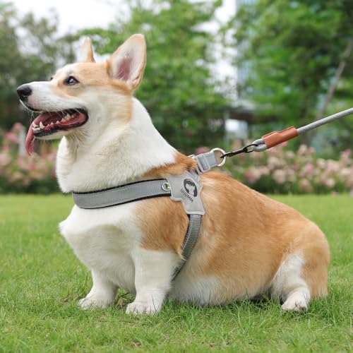 No Pull Small Dog Harness, Adjustable Puppy Soft Vest Harness with Breathable Mesh Padded, Reflective Lightweight Harness with Buckle for Extra Small Medium Dogs, Sliver-S