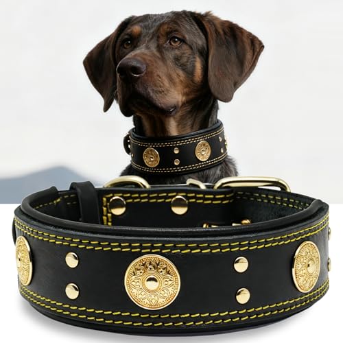 Leather Dog Collar, 2 inches Wide Heavy Duty Genuine Leather Collars, Handmade, Soft, and Luxury, Eye-catching Best Choice for Large and Medium Breed Dogs, Black-Gold 18.5-22.5 in - color: Black-Gold, size: 18.5-22.5 in