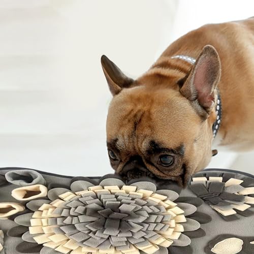 Washable Dog Snuffle Mat with Squeaker, Non-Slip Feeding Mat for Brain Games/25x17 Inch, Grey - color: grey