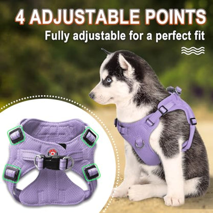 BARKBAY Dog Harness, Reflective Adjustable Puppy No Pull Harness, Breathable Soft for Small and Medium Dogs, Violet Purple, XXS - color: Violet Purple, size: XX-Small