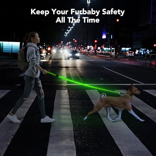 Colaseeme Light Up Dog Leash, LED Pet Leashes USB Rechargeable, Glow Safety Dogs Lights at Night (4FT,Green-New) - color: Green (New), size: 4FT