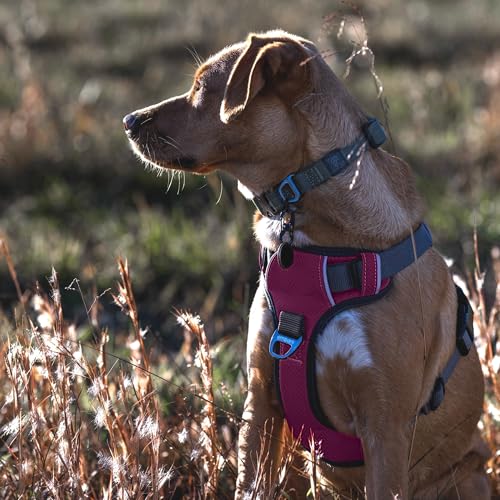 Embark Adventure Dog Harness for Small, Medium & Large Dogs – No Pull, Reflective Trim, Military Grade Nylon, 2 Leash Clips, Gel-Lined Handle, Soft Padded - color: Pink, size: XS