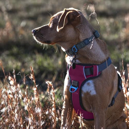 Embark Adventure Dog Harness for Small, Medium & Large Dogs – No Pull, Reflective Trim, Military Grade Nylon, 2 Leash Clips, Gel-Lined Handle, Soft Padded - color: Pink, size: XS