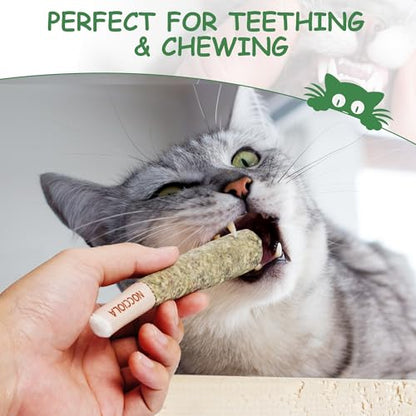 Nocciola 3 Pack Catnip Toys for Cats, Funny Cat Toys Filled with 100% Pure Organic Catnip, Safe Kitten Teething Chew and Kicker Toys - color: Green for Strong Chewers