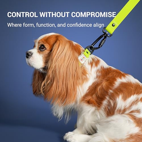 Waterproof Dog Collar, Stink Proof PVC Coated Collar with Lightweight Aluminum Hardware & Transparent Buckle, Heavy Duty for Small Medium Large Dogs, Green, Small - color: Green, size: S