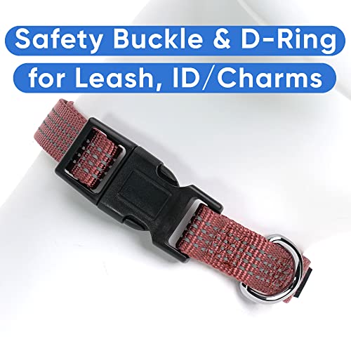 Pawtitas Reflective Dog Collar for X-Small Dogs – Adjustable Nylon Puppy Collar with Quick-Release Buckle | Fits Neck 8–13 in | Night Safety Training Collar | XS | Marsala - color: Marsala, size: X-Small (Pack of 1)