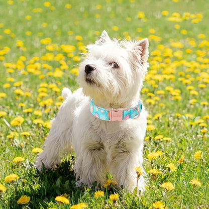 Sunflower Summer Dog Collar, Unique Style Paws Blue Pet Collar Adjustable Girl Dog Collar with Metal Buckle for Small Medium Large Dogs - color: BSunflower CC, size: L