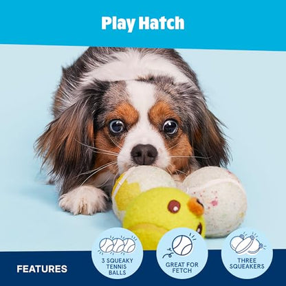 Barkbox Play Hatch Rubber Tennis Balls for Dogs & Puppies | Trio of Squeaky Fetch Balls for Bounce, Chase & Play | Durable, Engaging & Fun for Playful Pups - color: Play Hatch