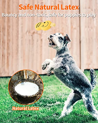 SCHITEC Squeaky Dog Toy, [4 Pack] Natural Latex Rubber Interactive Toys for Small Dogs Puppies