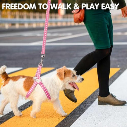 BINGPET Dog Harness Collar Leash Set,Adjustable No Pull Escape Proof Small Dog Harness,Classic Plaid Puppy Harness and Leash Set for Small Medium Large Dogs Training Easy Walk Running(Polka Dots,M) - color: Polka Dots, size: M(Chest Girth:17.3''-23.38'')