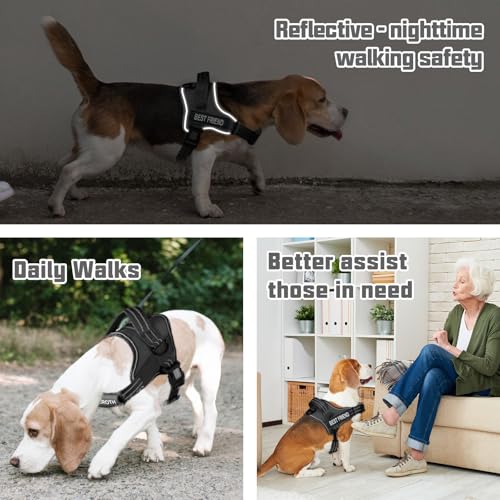 AUROTH Dog Harness and Leash Set, Soft Padded Service Dog Vest with 5.25FT Dog Leash, No Choke, Easy On Pet Vest, Adjustable Reflective No Pull Dog Harness Small Sized Dog, Easy Walking and Training - color: Black, size: Small