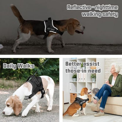AUROTH Dog Harness and Leash Set, Soft Padded Service Dog Vest with 5.25FT Dog Leash, No Choke, Easy On Pet Vest, Adjustable Reflective No Pull Dog Harness Small Sized Dog, Easy Walking and Training - color: Black, size: Small