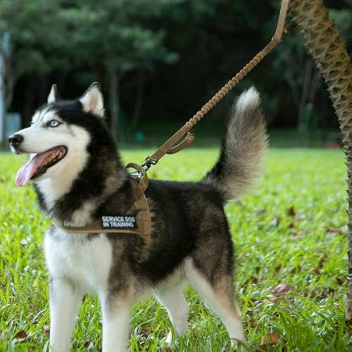 EXCELLENT ELITE SPANKER Tactical Bungee Dog Leash Military Adjustable Dog Leash Quick Release Elastic Leads Rope with 2 Control Handle（Grey - color: Grey