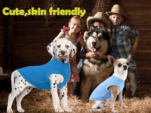 Dog Blank Blue Shirt,Boy Girl Dogs Cats Tee Shirts,Plain Small Chihuahua T-Shirt,S Blue Royal Small - color: Blue & Royal, size: Small